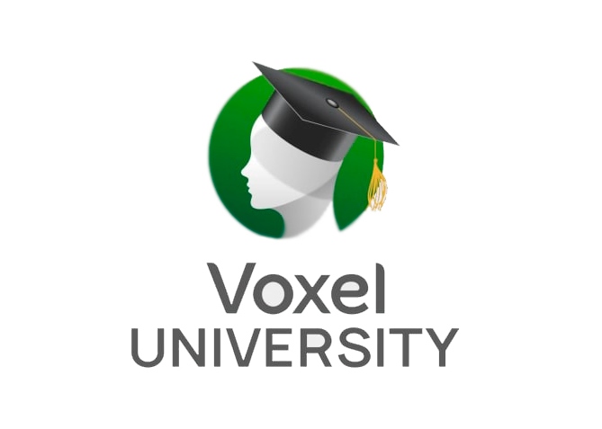 Voxel